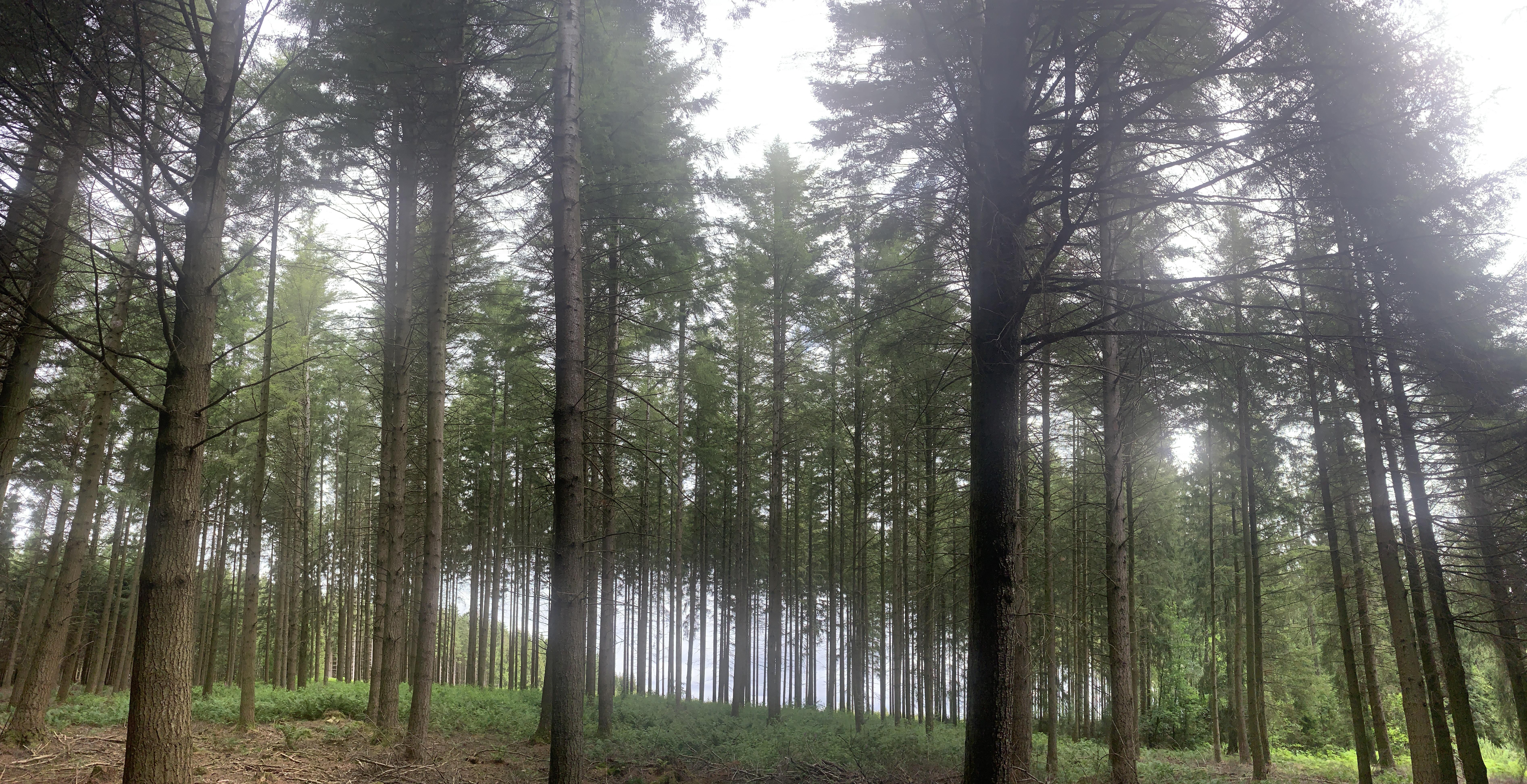 duurzaam communiceren met aroma communicatie